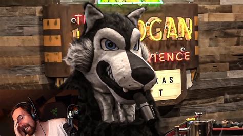 reddit joe rogan|joe rogan in fursuit.